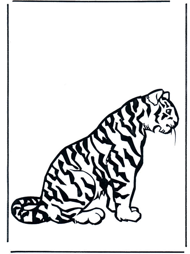 Tigre 2 - Felino