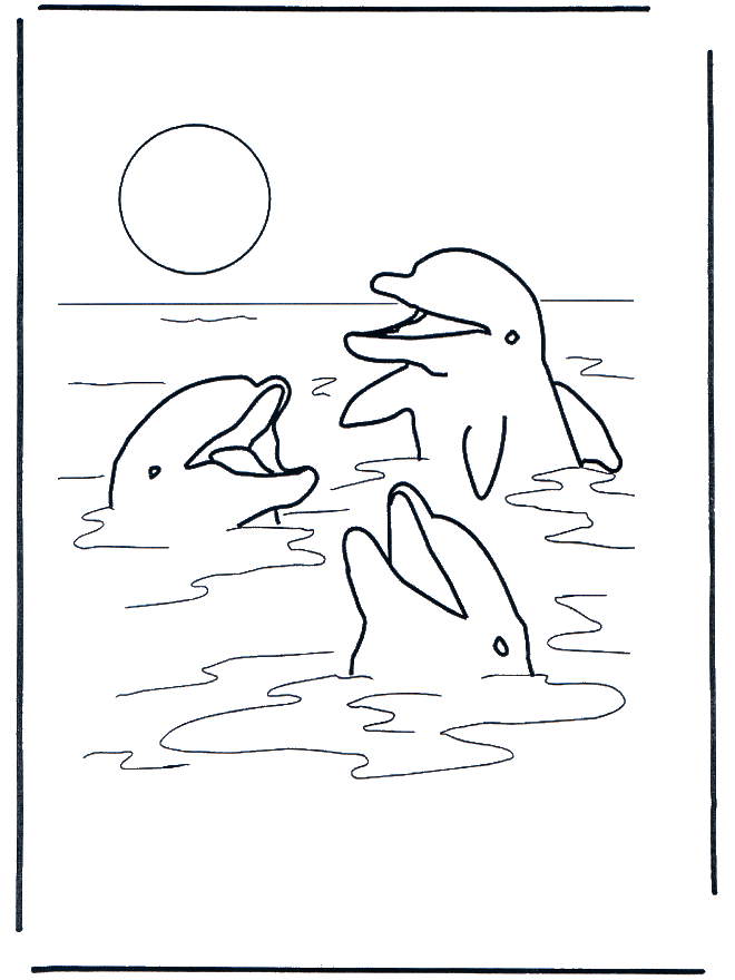 Três golfinhos - Animais aquáticos