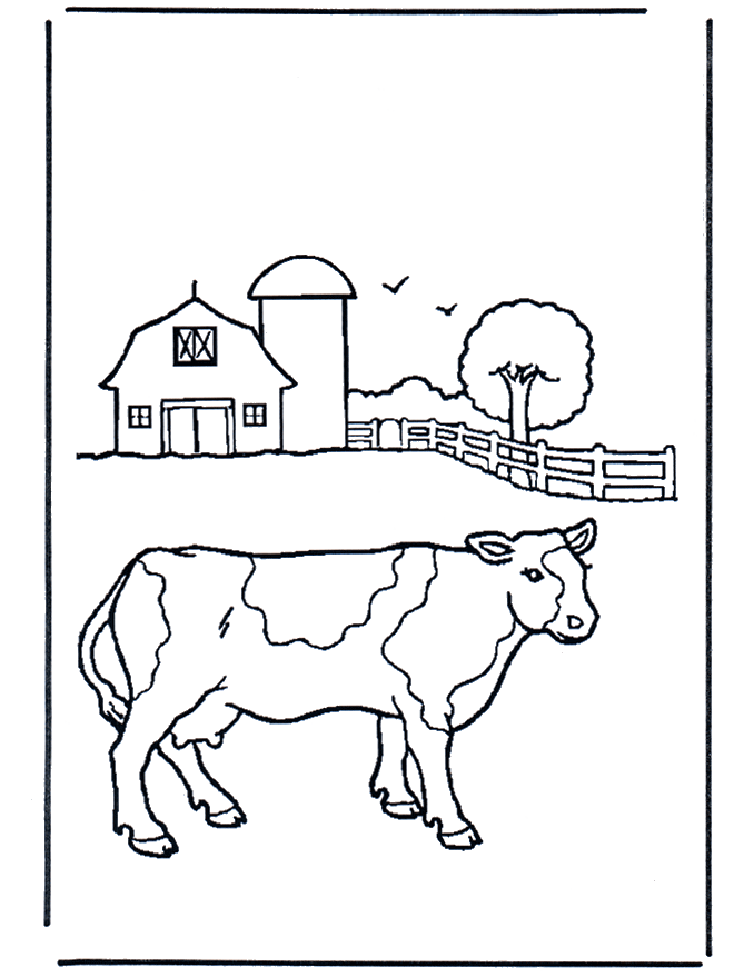 Vaca - Na quinta
