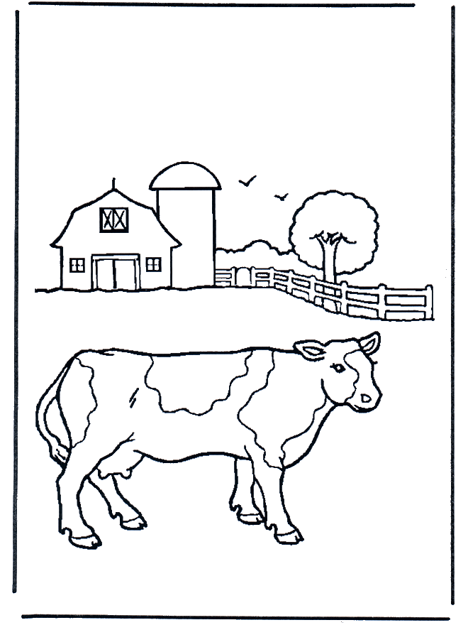 Vaca na quinta - Animais domésticos e da quinta