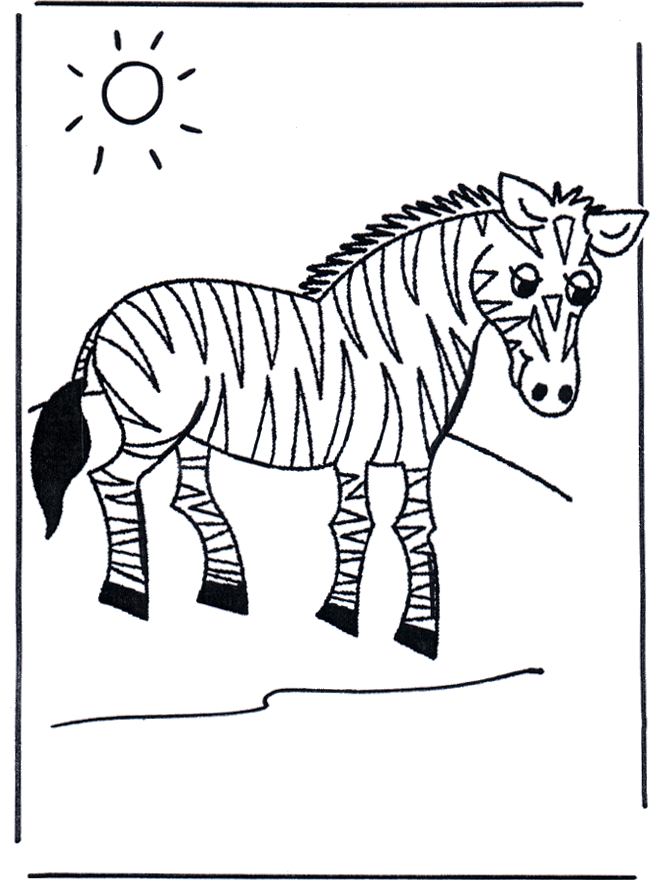 Zebra - Jardim Zoológico